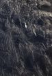 Freakish patterns of ice crystals