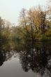Autumn park with lake in a fog