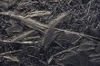 Freakish patterns of ice crystals