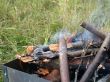 mangal