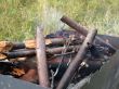 mangal