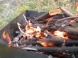 mangal