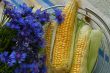 Cornflowers and corn