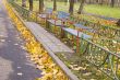Avenue