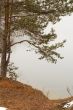 Late autumn nature
