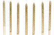 Close up  screw