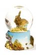 elephant in sphere