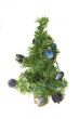 Fir tree