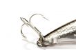Hook and fish tail