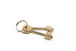 Key with ring