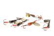 minnow