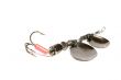 minnow