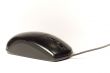 Old mouse