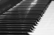 synthesizer