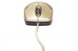 computer mouse