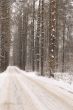 winter road