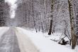Winter way