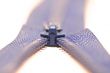 zipper close up