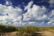 Dunes with green grass
