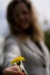 woman  with dandelion