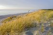 Baltic  sand-dune