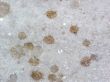 Concrete with spots of a paint