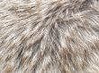 the fur