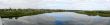 Spring panorama
