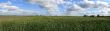 Spring panorama