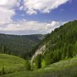 summer landscape