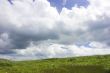 summer landscape