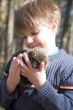 boy with hedgehog