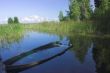 summer lake