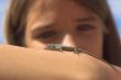 lizard on hand