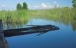 summer day on the lake