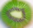 kiwi background