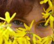 looking through the flowers