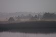 Foggy daybreak