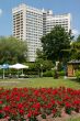 flower bed