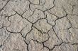 Parched crannied earth
