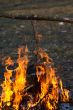 kettle in the fire