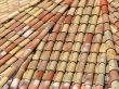 Old tile roof