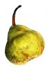 Pear on a white background