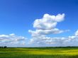 Lithuanian landscape
