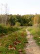 Country road