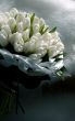 Bridal bouquet