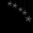 black-and-white flower background