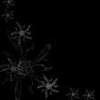 black-and-white flower background
