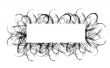 Horizontal frame with black ornament