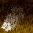 grunge background with abstract flowers